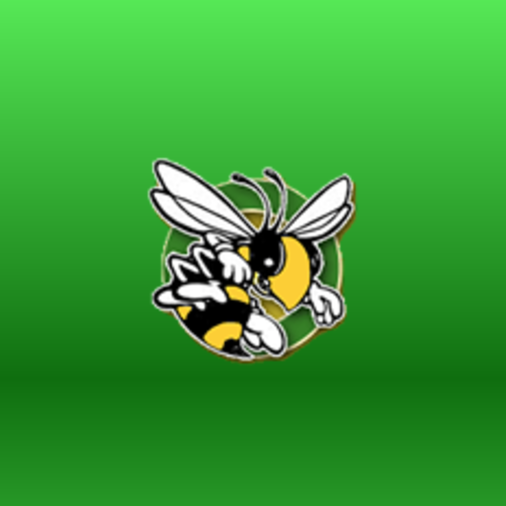 Hornet School Logo