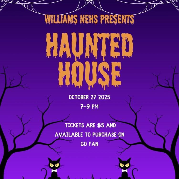 purple to black gradient background with orange lettering and white lettering and black cats and tree branches.