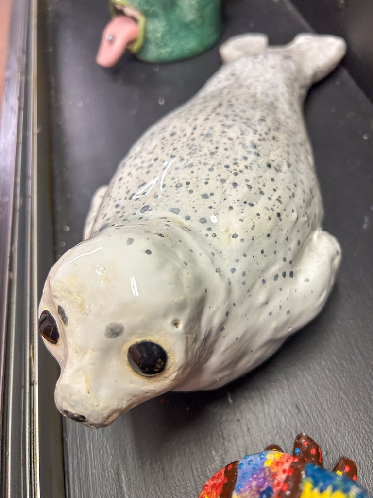 Baby Seal: Peyton Bright, Junior