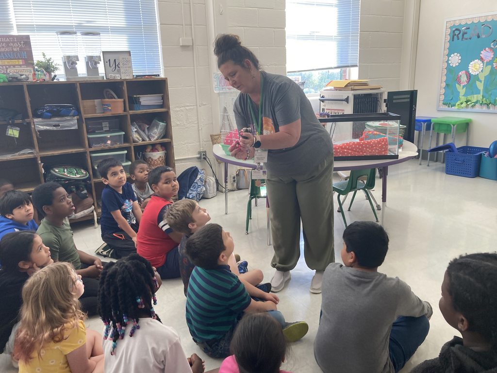 Animal rehabilitation with Mrs. Johnson/ Mrs. Frizzle