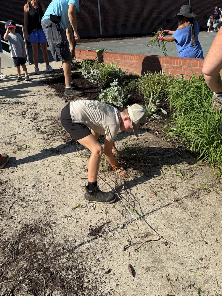 campus beautification 2026