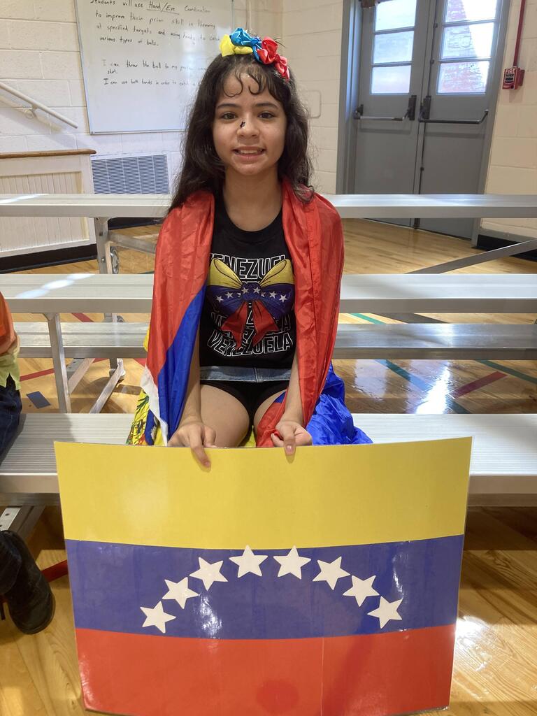Venezuela flag