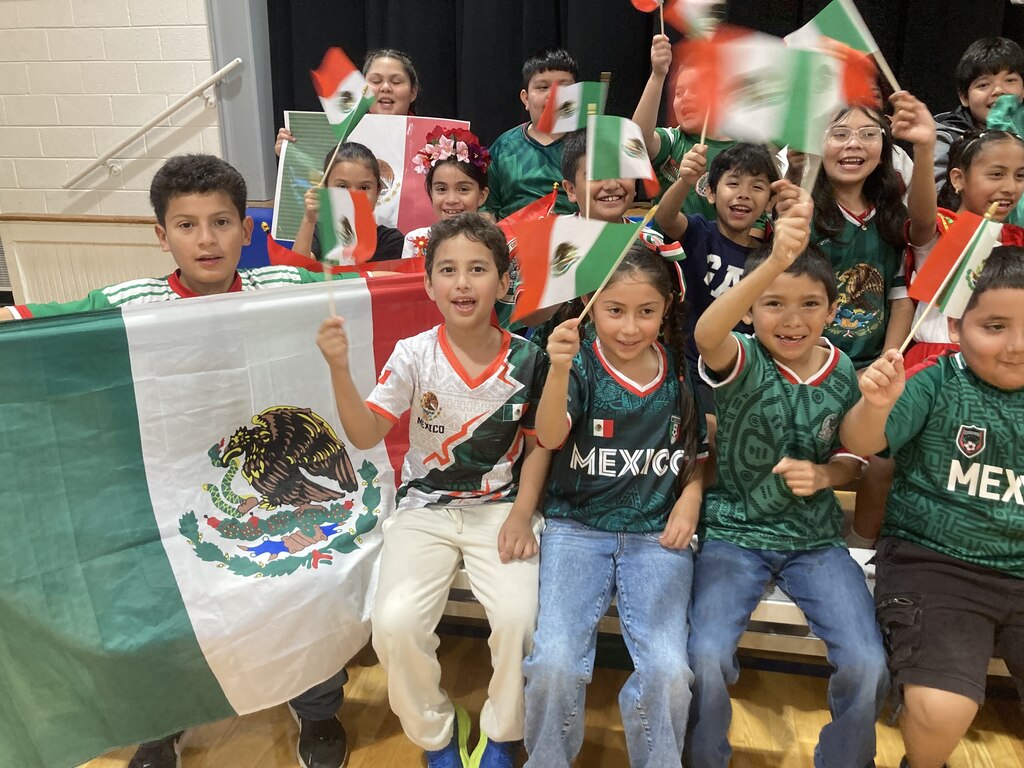 Mexico flags