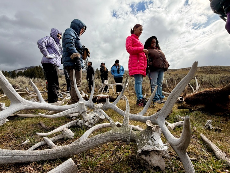 AVS Yellowstone trip 2026