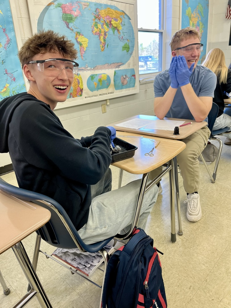 hs