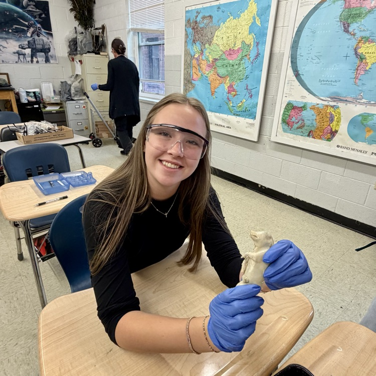 hs