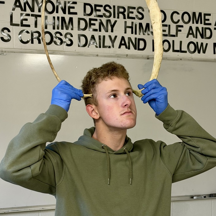 hs
