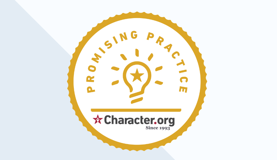 Promising Practices Logo
