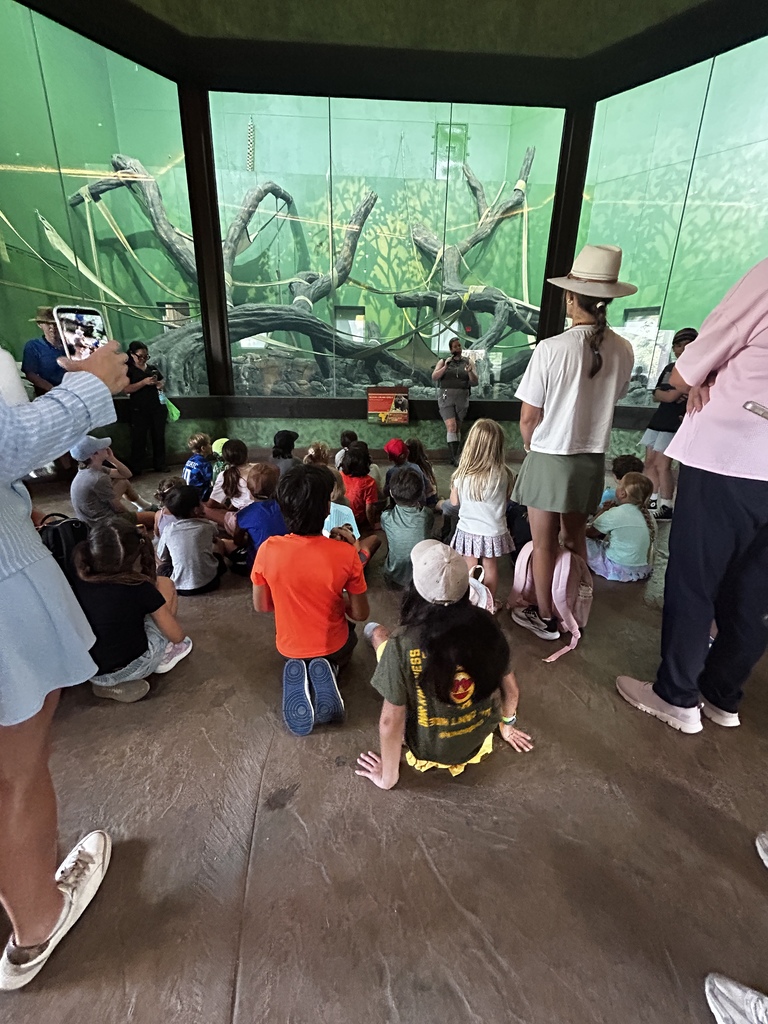 WE group sits  inside gorilla exhibit at the San Antonio Zoo