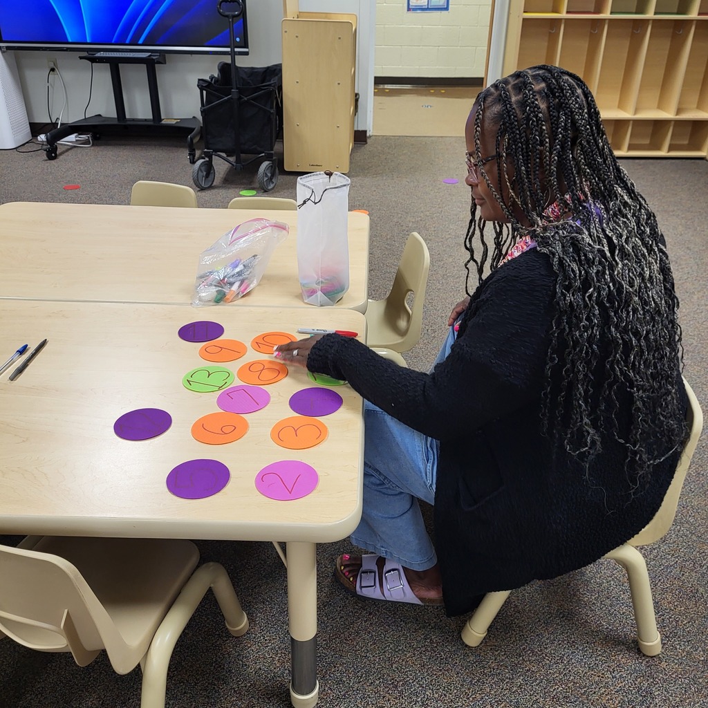 Educational Assistant Working in Clasroom