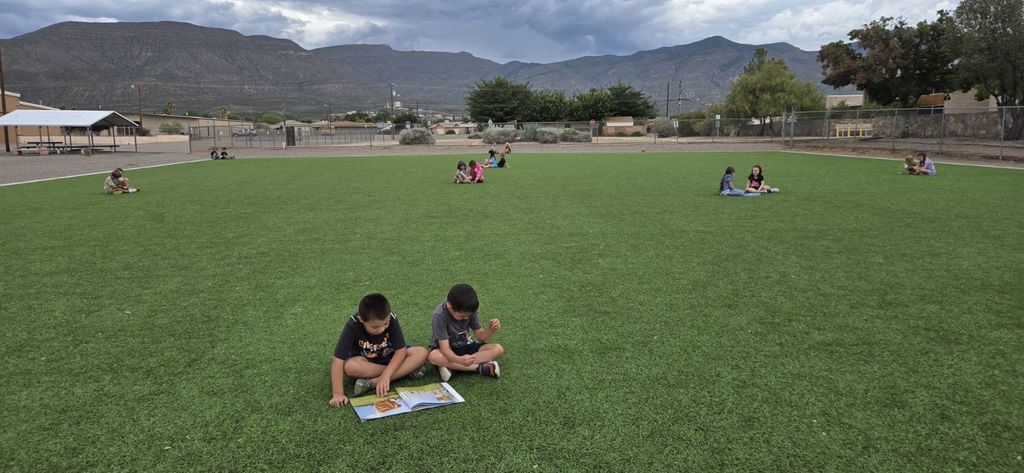 various groups of students sitting together outside on turf reading books