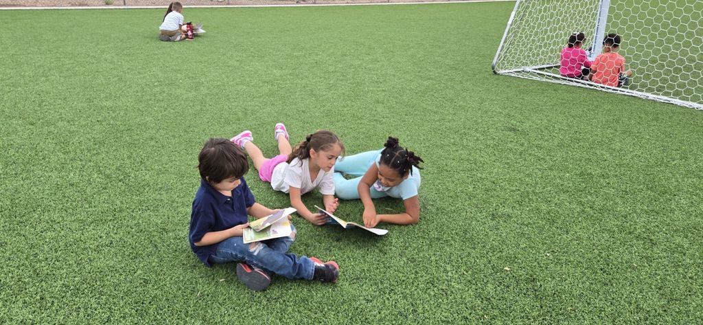 various groups of students sitting together outside on turf reading books