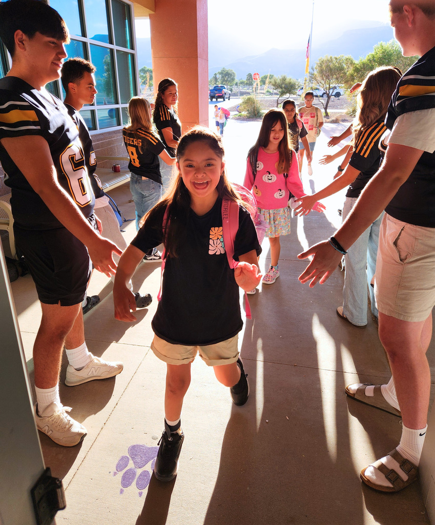 AHS Tigers Football team high-fiving Desert Star Elementary Students