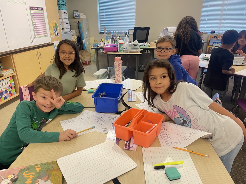 2nd graders classifying matter - will it sink or will it float?