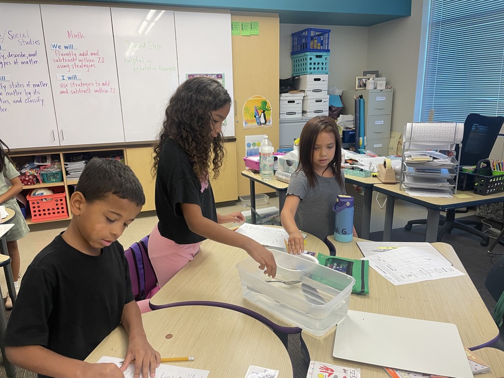2nd graders classifying matter - will it sink or will it float?