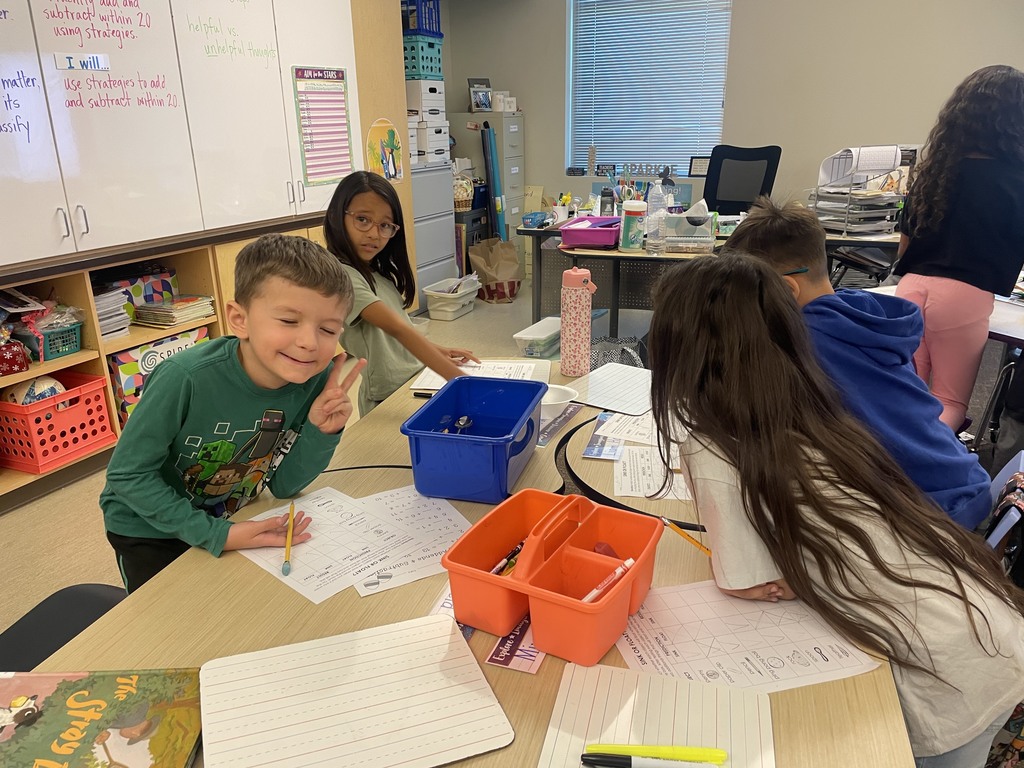 2nd graders classifying matter - will it sink or will it float?
