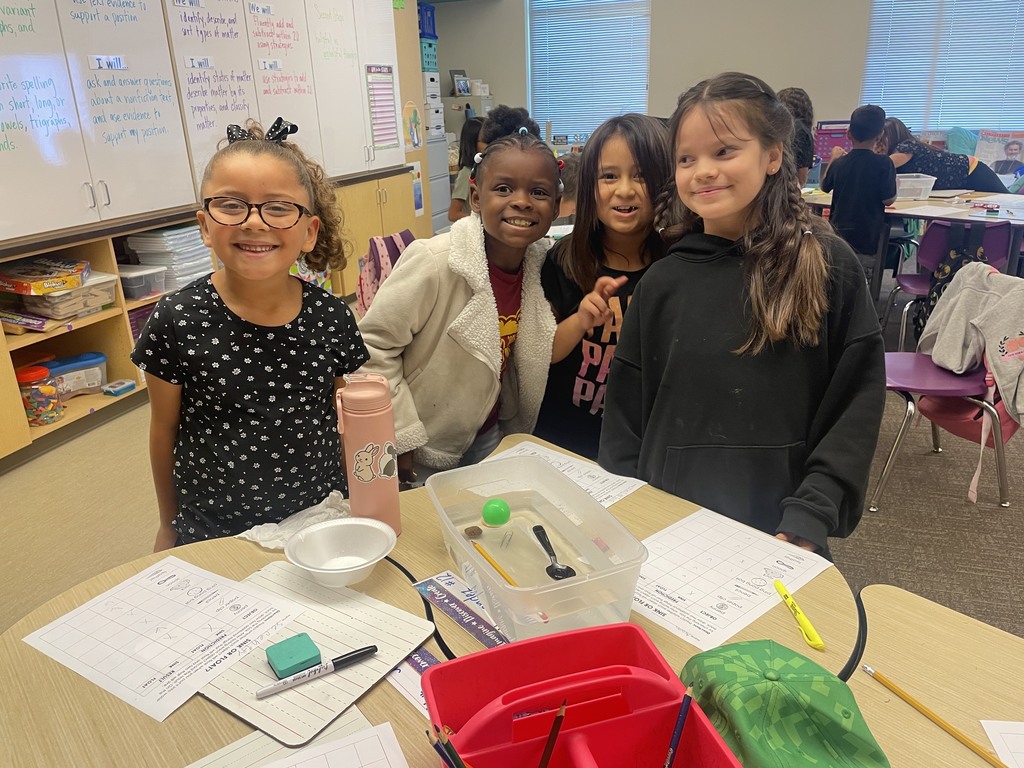 2nd graders classifying matter - will it sink or will it float?