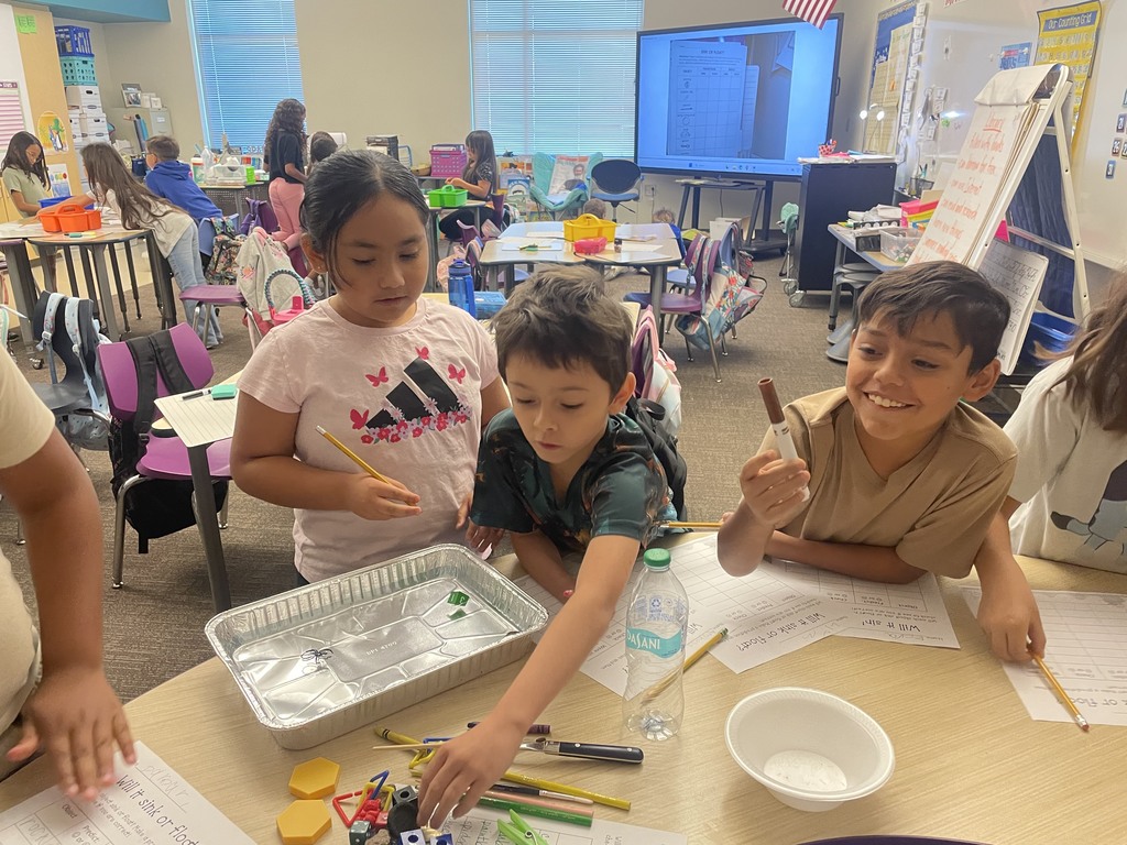 2nd graders classifying matter - will it sink or will it float?