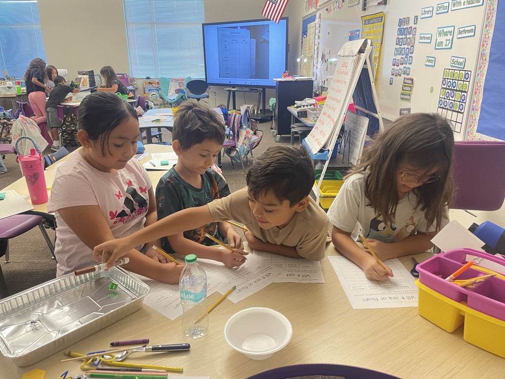 2nd graders classifying matter - will it sink or will it float?