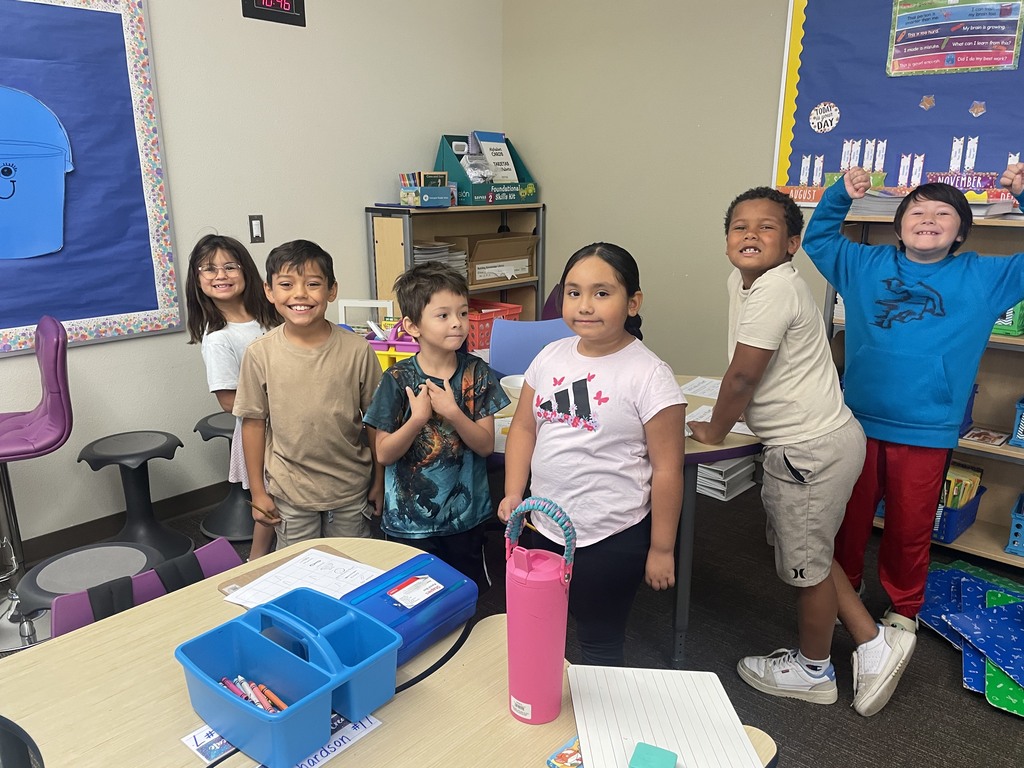 2nd graders classifying matter - will it sink or will it float?