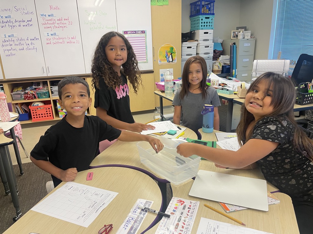 2nd graders classifying matter - will it sink or will it float?