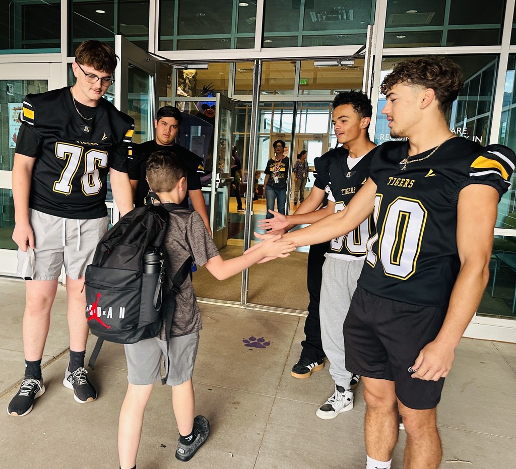 Desert Star student high fiving AHS Tigers.