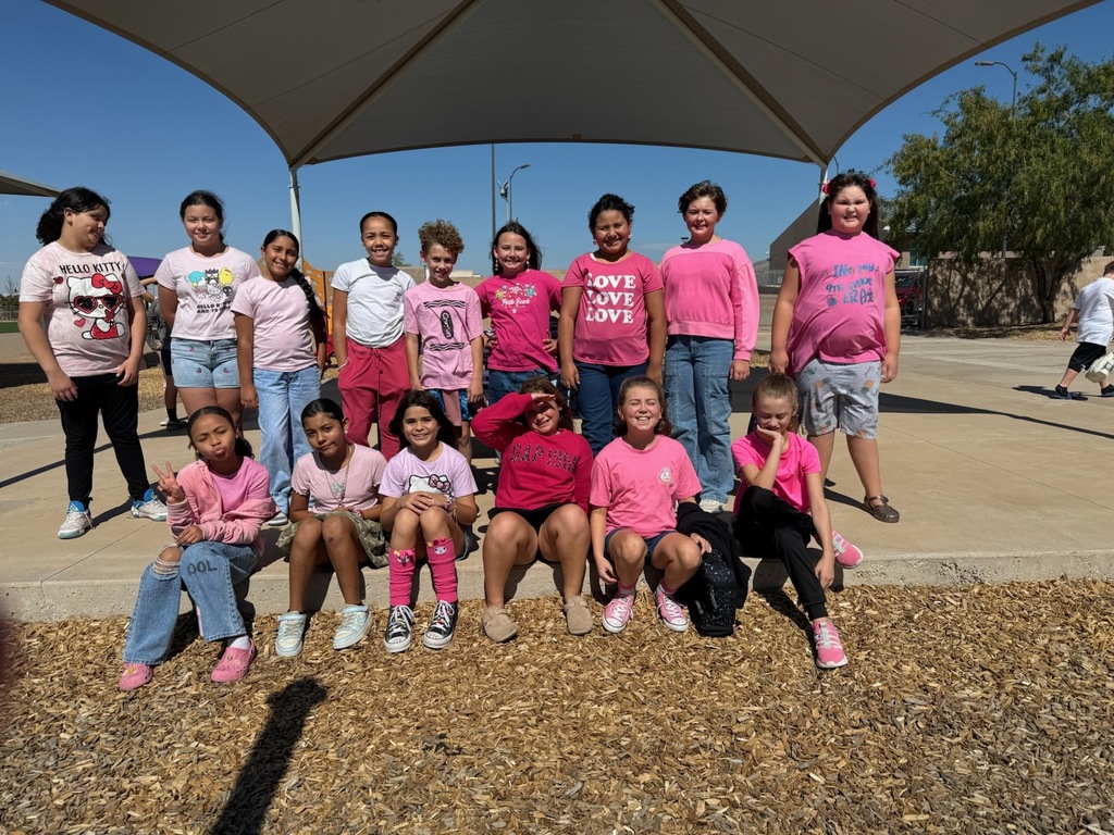 Mrs. Velasco's pink out group.