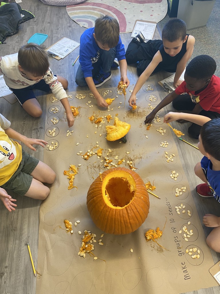 pumpkin gutting