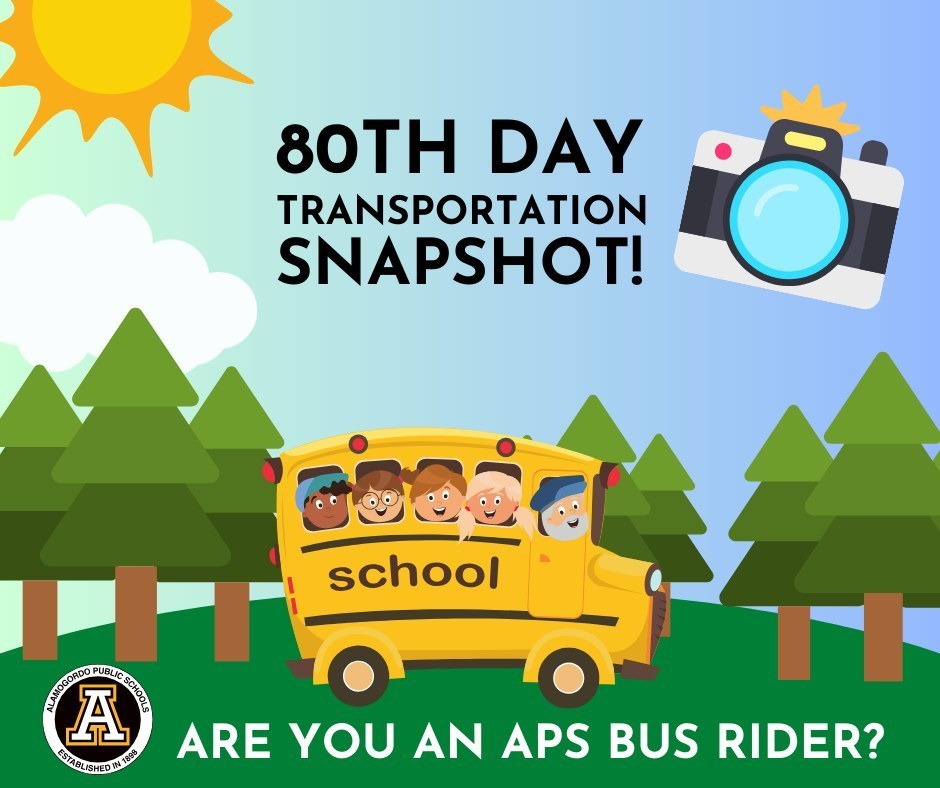 80th Day Transportation Snapshot 