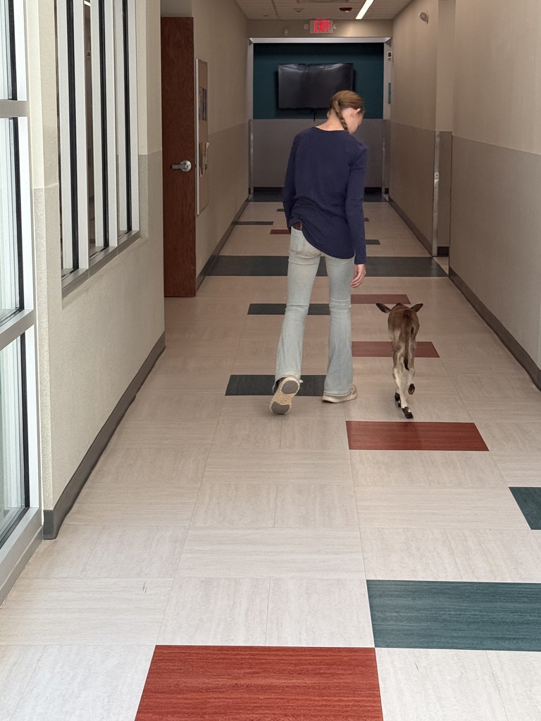 girl and cow in hallway