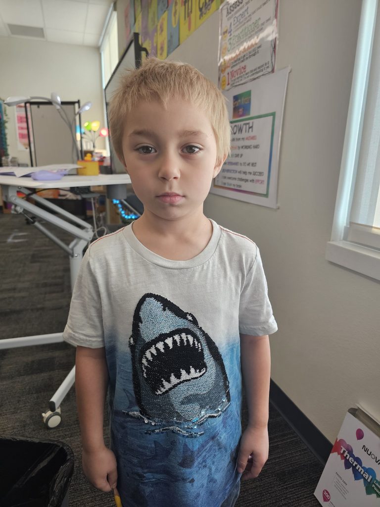 1st grade student shark shirt