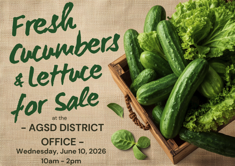 Fresh Produce 