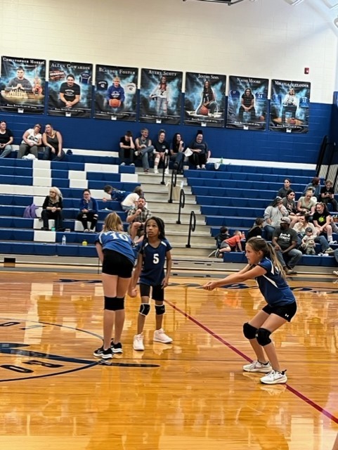 Volleyball