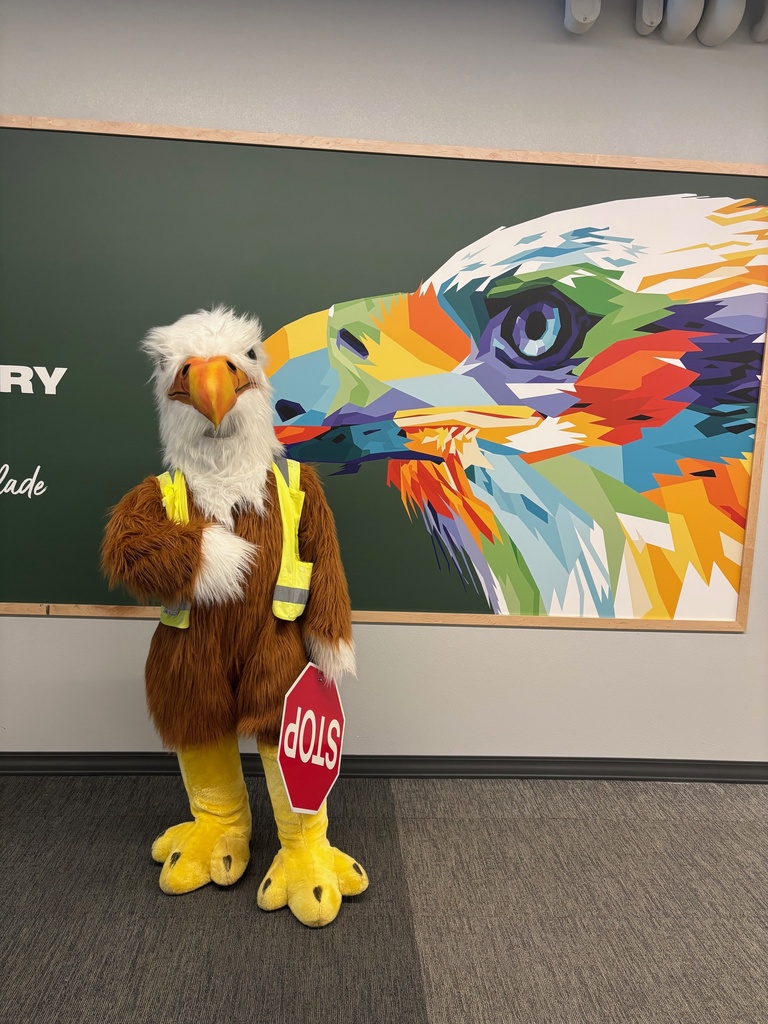 Safety Eagle