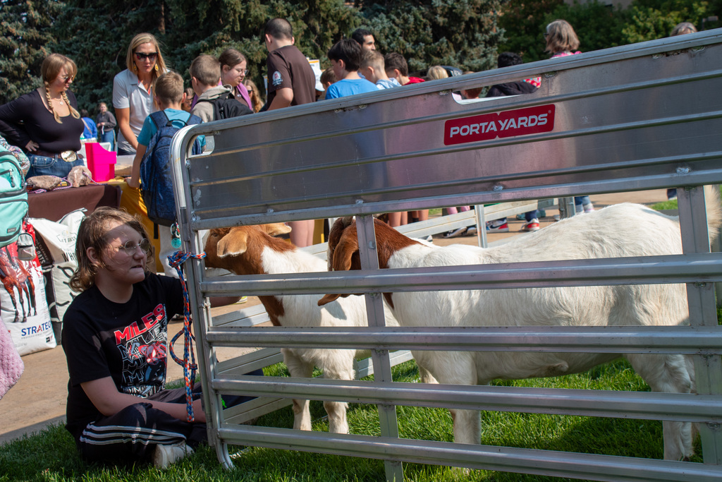 student sitting with goats in a pen