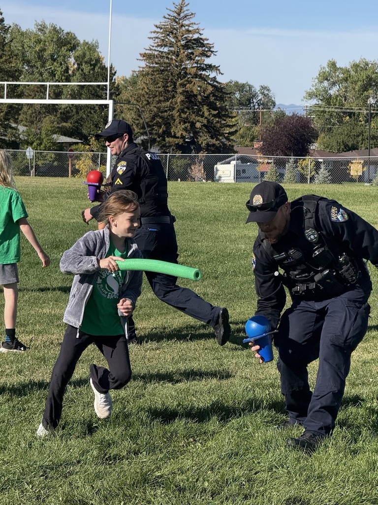 Field Day - Pic 1