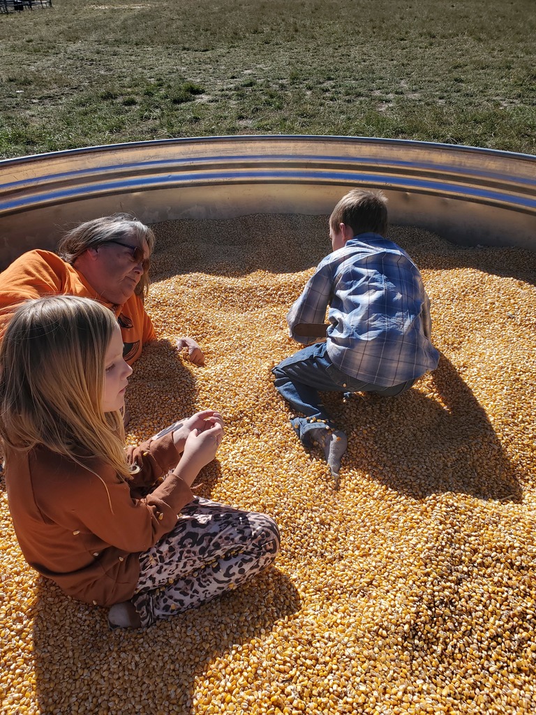 Students playing at pumpkin patch