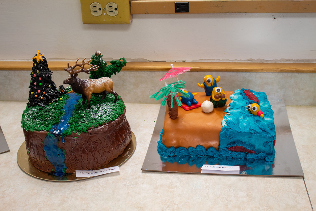 Wildnerness and Minion Cake