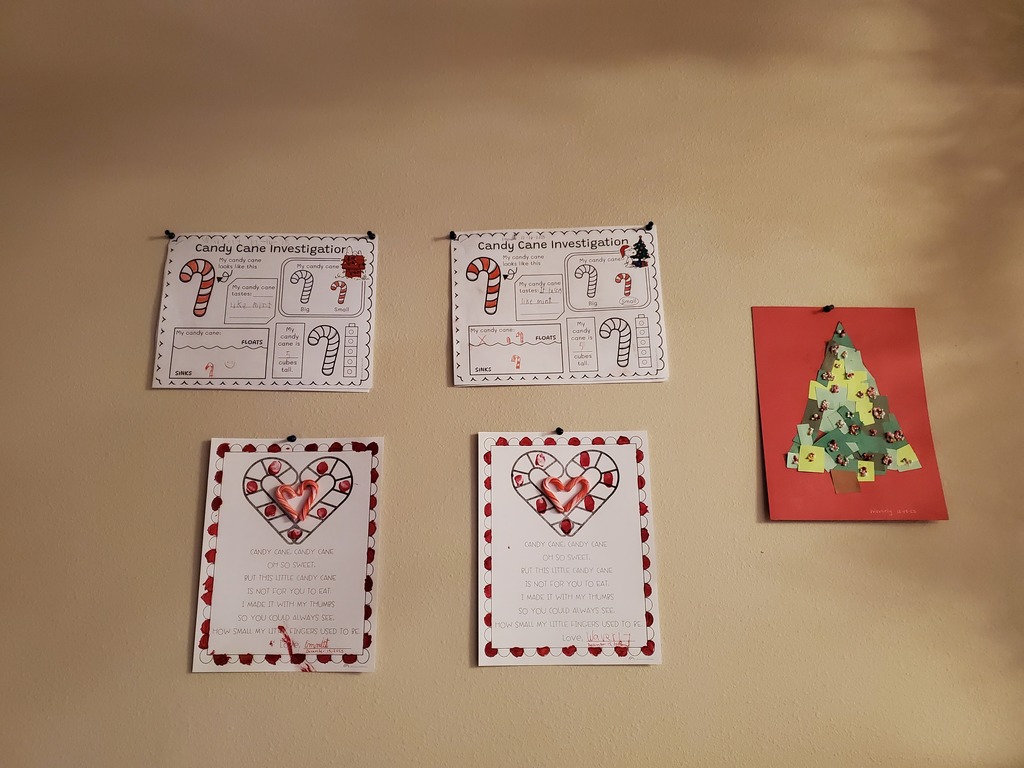 Student created candy cane art