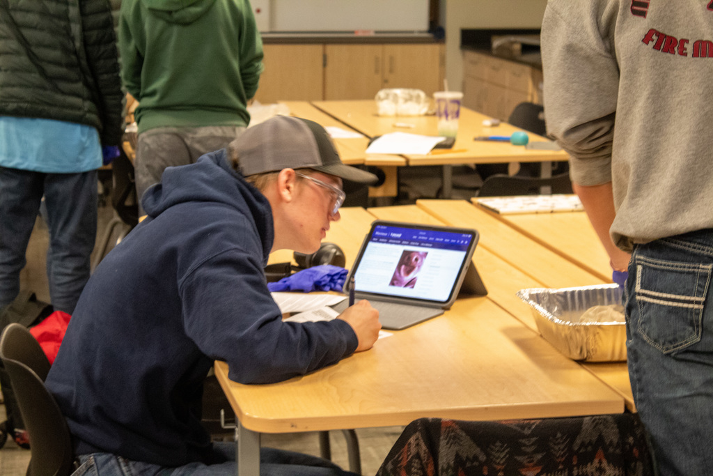 student looking at computer at a desk