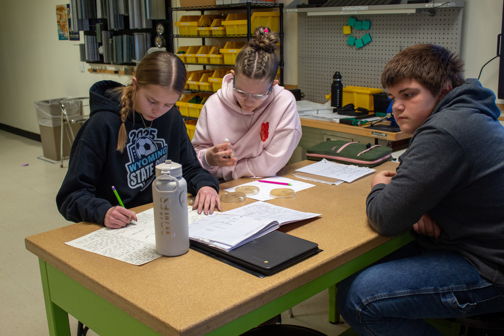 Students working collaboratively on a project