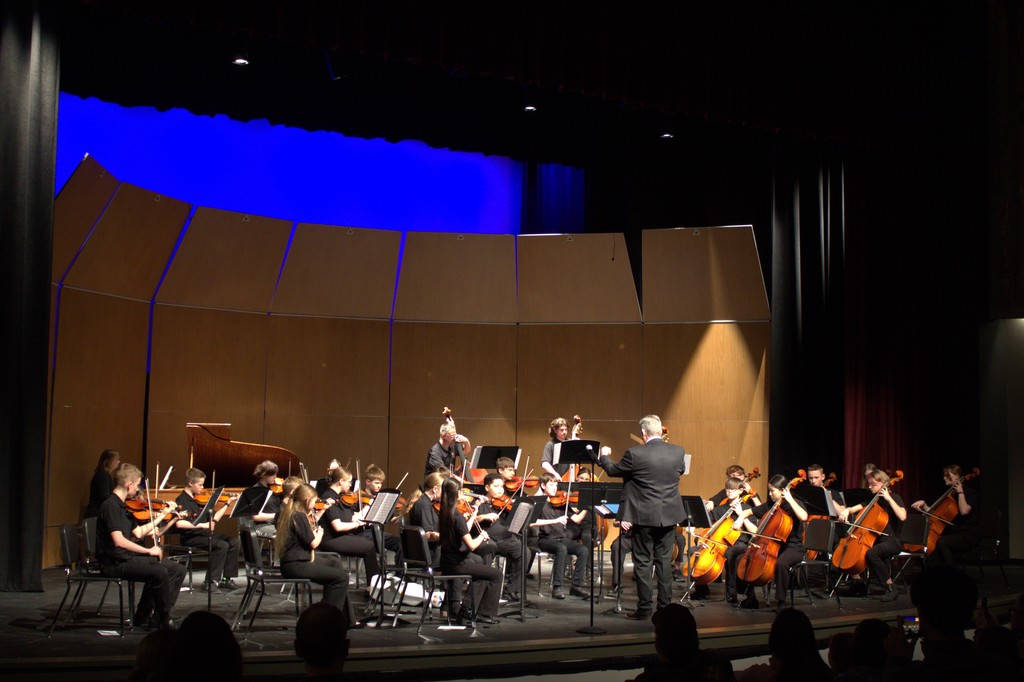 LMS Orchestra on stage