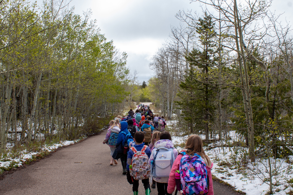 Trail of students hiking down a path