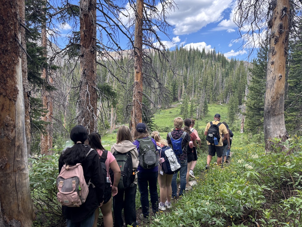 Group of students walking in a line down a trail through trees