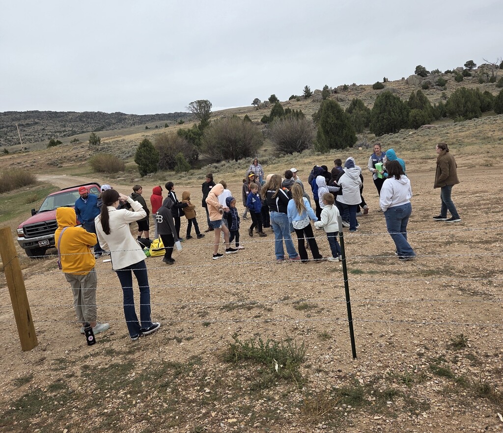 Group of students walking landscape