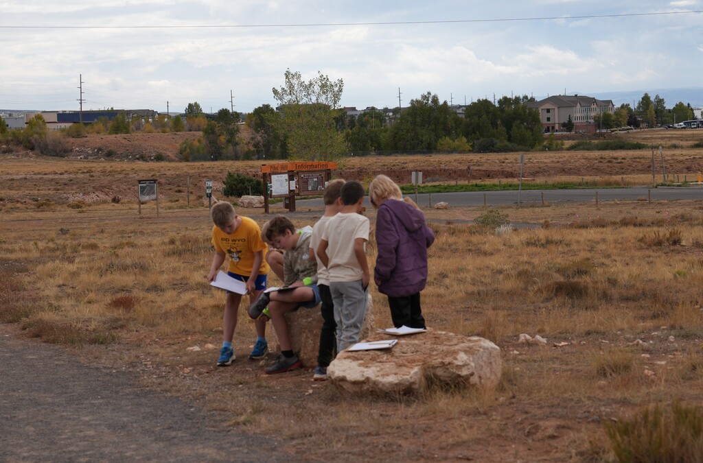 Group of students looking at rocky pathways