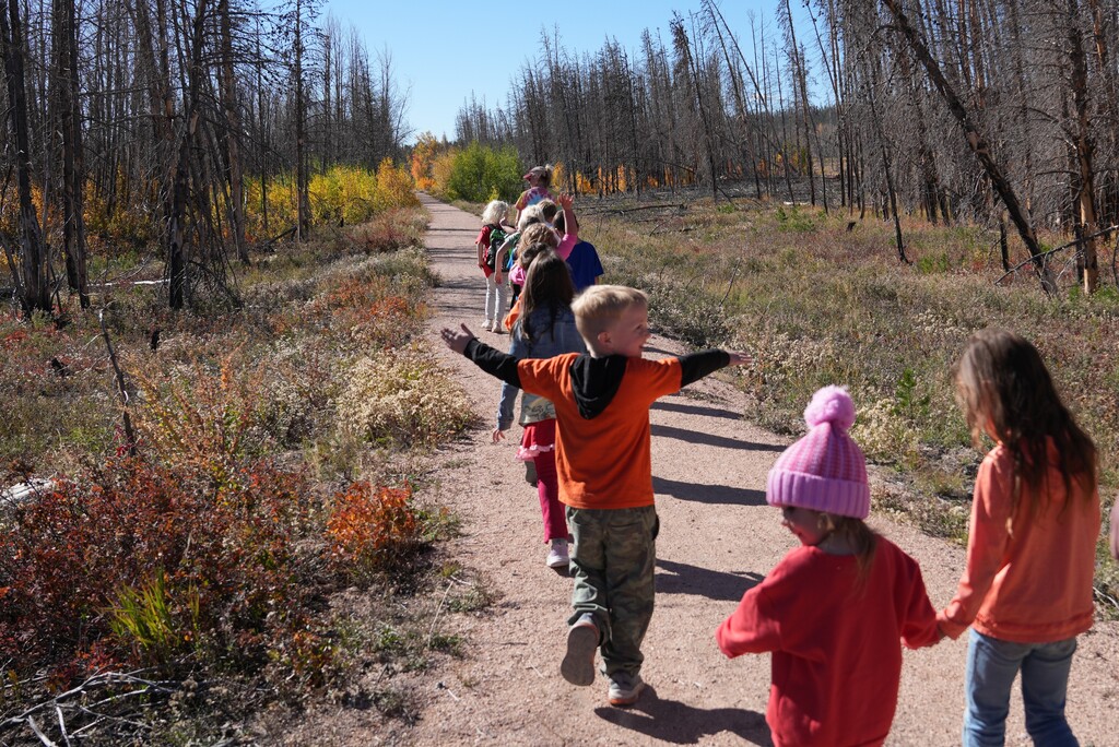 Group of students walking in a line down a trail