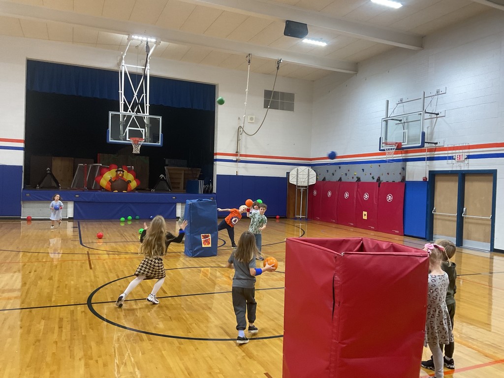 turkeys  and thanks!