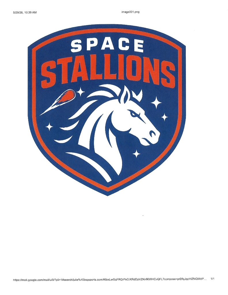 Space Stallion Mascot 4