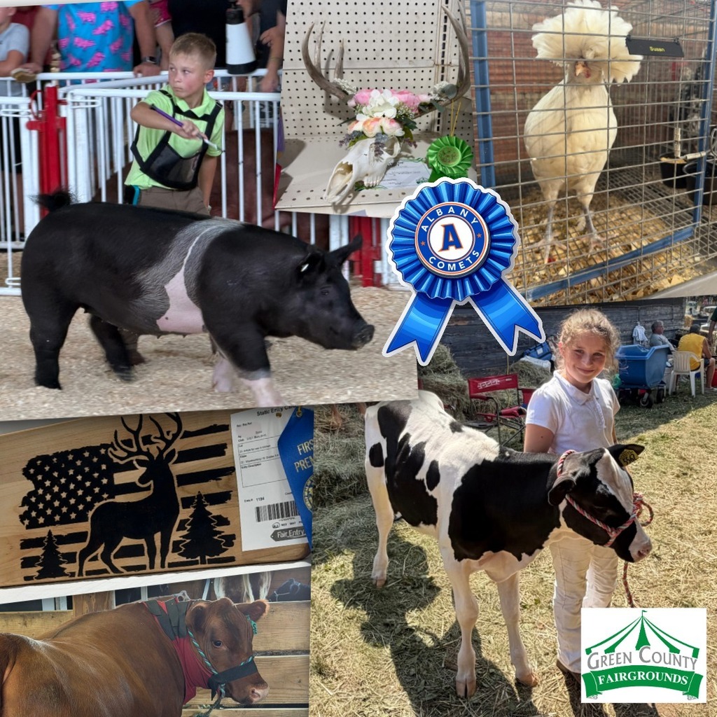 fair 1